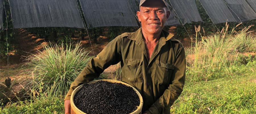 Pfefferbauer mit fermentierten Kampot Pfeffer