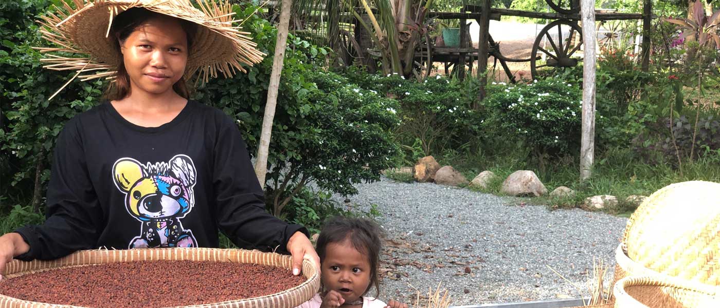 Kampot-Pfefferplantage -Roter Kampot Pfeffer wird sonnengetrocknet